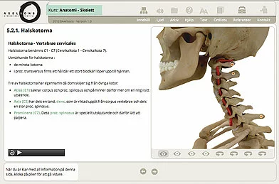 Axelsons, screenshot module SCORM 2