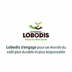 Site internet Responsive design pour Lobodis, enterprise à mission