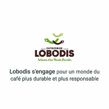 Site internet Responsive design pour Lobodis, enterprise à mission