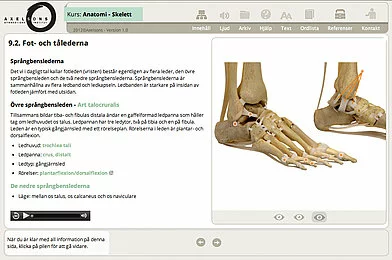 Axelsons, screenshot module SCORM 3